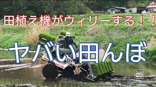 転覆寸前、床の高低差40センチの田んぼで田植え！底なし沼の恐怖