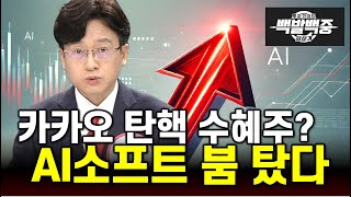 카카오와 네이버, 미국 AI소프트웨어 붐 수혜받는 탄핵정국 탑픽