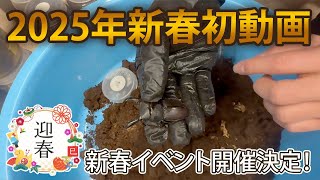 【2025年新春初動画】新春イベント開催決定！