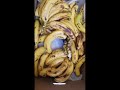 Don't Throw Away Overripe Bananas