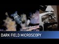 EXPLORING WITH DARK FIELD MICROSCOPY