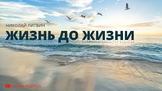 Жизнь до жизни (Николай Литвин)