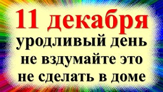 11 декабря народный праздник Сойкин день, день Степана Зимнего. Что нельзя делать. Народные приметы