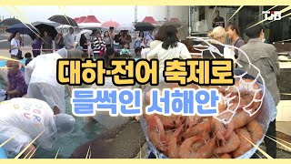 대하·전어 축제로 들썩인 서해안｜ TJB 대전·세종·충남뉴스