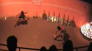 Kalari Martial Arts - knife fight