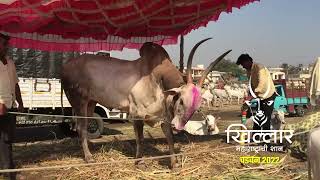 Live चडचन 2022 |  Khillar Maharashtrachi Shaan