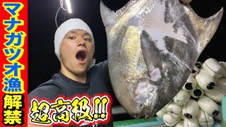 すぐに死ぬ？生かして持って帰れない超高級魚\