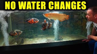FULLY AUTOMATIC WATER CHANGES for my aquariums The king of DIY