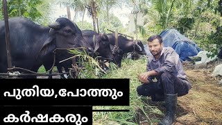 വിലയേറിയ കുറച്ചു സംശയങ്ങളും #ajosvlog 9947863454പ്ലീസ് വാട്ട്സാപ്പ്