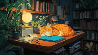 Quiet Night, Sleeping Cat 🌙 Lofi Study Beats for a Peaceful Mind 📖• Relaxing and Soothing Beats Mix