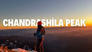 Chopta Valley in Winters | Tungnath Snow trek | Tungnath \u0026 Chandrashila Trek | Mini Switzerland