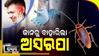 ଯୁବକଙ୍କ କାନରେ ବଂଶ ବିସ୍ତାର କରିଥିଲେ ଅସରପା ,ବାହାରିଲେ 10ଟି ଅସରପା