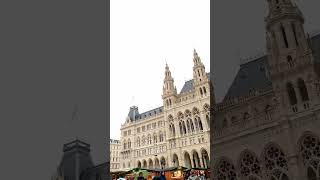 Vienna in December 2024 Christkindlmarkt am Rathausplatz 🎄❤️💐🌹 #christmastree#chrsitmas #vienna