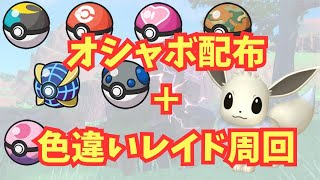 【自由参加可能！】オシャボ配布＋色違いレイド【ポケモンSV】