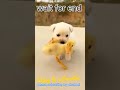 cute duck & puppy #shorts  #puppy #duck