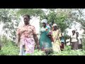 Women's rights to forests and trees in Uganda