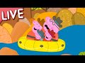 Peppa Pig Full Episodes - LIVE 🚨 BRAND NEW PEPPA PIG EPISODES ⭐️