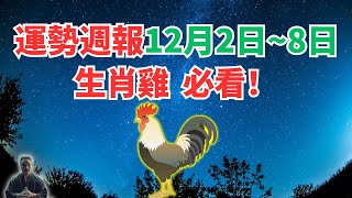 命理測算：屬雞人一週運勢（12月2日至8日），內含吉凶日，一定要看！ #生肖雞運勢 #生肖雞運程 #屬雞運勢 #屬雞運程