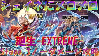 アナザーエデン　ASシェイネに男性キャラはメロメロ？廻生（EXTREME）Stage.3ノーダメージ攻略！？【Another Eden】