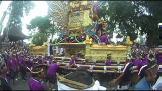 The Royal Cremation Ceremony ubud 2016