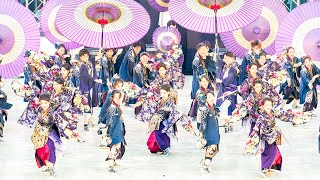 [4K] 常磐 【セミファイナル演舞】　にっぽんど真ん中祭り 2024 どまつり 日曜日 (中央)