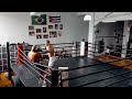 Alex Pereira vs Igor Adiel Macedo Sparring 2024