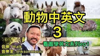 #看圖學英文系列3 動物英文 3 中英對照 看圖學中英文系列ep1 learning English Chinese bilingual animals with pictures