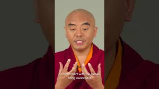 Connect with your Innate Qualities - Mingyur Rinpoche