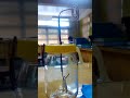 Charged Electroscope