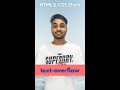 Text Overflow in CSS