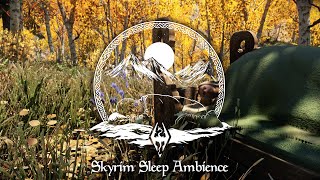 Skyrim Sleep Ambience | The Rift [10 Hours]