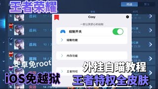 王者荣耀苹果iOS免越狱外挂 透视百里自瞄  hack 安卓免root辅助视频教程 科技 和平精英 PUBG LOL手游英雄联盟 CFM 暗区使命召唤Apex外褂