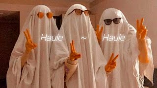 Haule Haule - (Slowed + Reverb) | SANGHARAJ | 💝