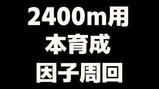 ウマ娘/ファイン育成/因子周回/阪神2400ｍ用