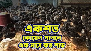 ১০০ কোয়েল পাখি পালনে মাসে লাভ কত টাকা