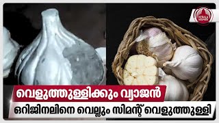 വെളുത്തുള്ളിക്കും വ്യാജന്‍, ഒറിജിനലിനെ വെല്ലും സിമന്റ് വെളുത്തുള്ളി | Fake garlic | Cement garlic