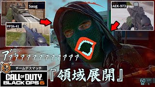 【BO6実況】害悪武器に精神を破壊されたCOD民の末路【TDM】