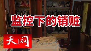 《天网》小区接连被盗 保险柜遭遇暴力破坏 盗贼竟在监控下...... 20240705