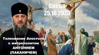 Среда, 25 октября 2023 года. Толкование Апостола с митр. Антонием (Паканичем).