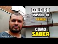 Como saber se o coleiro PASSOU de Fêmea : como resolver