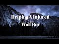 Caring For A Injured Wolf Boy In The Forest (ASMR Roleplaying) (Gender neutral) (Wholesome)