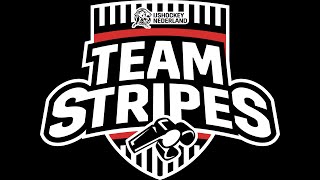 TeamStripes NL Regel 167 Tripping (eerst de puck spelen)