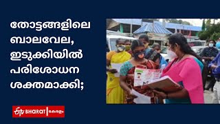 തോട്ടങ്ങളിലെ ബാലവേല, ഇടുക്കിയിൽ പരിശോധന ശക്തമാക്കി |Child labour in Idukki |ETV Bharat Kerala