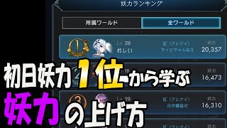 【ラグナド】初日1位から学ぶ妖力の上げ方【ラグナドール】