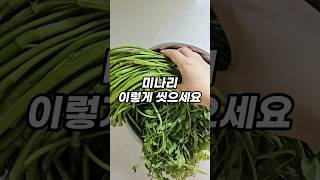 미나리 이렇게 씻으세요! 미나리 세척 및 보관법