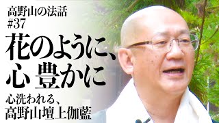 高野山の法話#37「華のように、心豊かに」