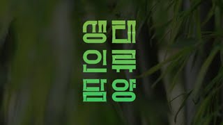 2023 광주비엔날레와 함께 꼭 봐야할 전시! 《생태, 인류, 담양》