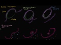 endocytosis phagocytosis and pinocytosis biology khan academy