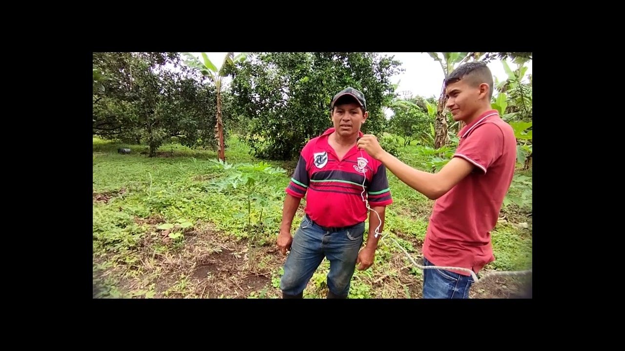 Agroecología Uniminuto - YouTube