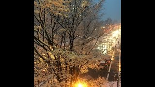 大雪 in 福井 －始まり－